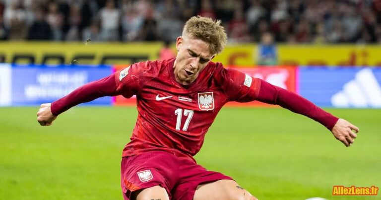 Bilan de Michal Skoras avec la Pologne